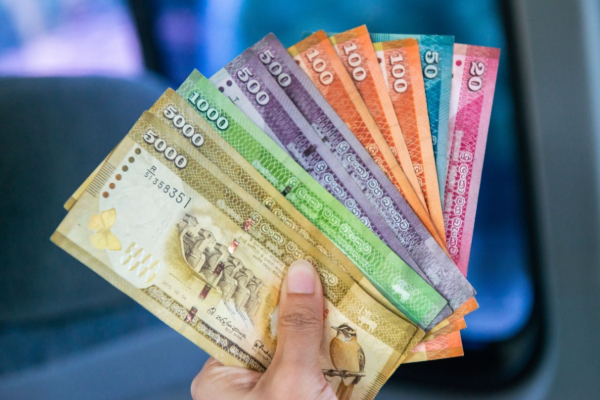 யாழில் 25,000 ரூபாய் கொடுப்பனவுக்கு 18 வீடுகள் சிபாரிசு ! | 25 000 Govt Relief Allowance For House Cleaning யாழில் 25,000 ரூபாய் கொடுப்பனவுக்கு 18 வீடுகள் சிபாரிசு ! | 25 000 Govt Relief Allowance For House Cleaning