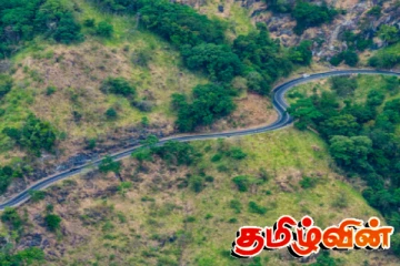 எல்ல வீதியின் ஆபத்தான வளைவில் மண் அணை நிர்மாணம்