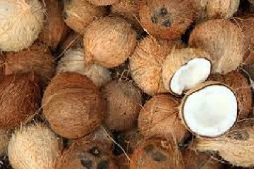 தேங்காய் விலை தொடர்பில் புதிய வர்த்தமானி