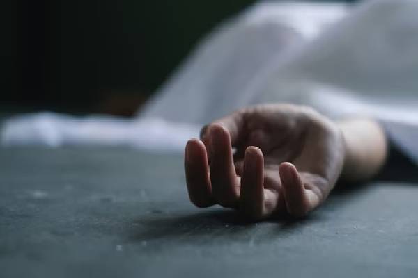 ஹயஸ் வாகன விபத்தில் சாரதி பரிதாப உயிரிழப்பு | Driver Tragically Dies In Hiace Vehicle Accident ஹயஸ் வாகன விபத்தில் சாரதி பரிதாப உயிரிழப்பு | Driver Tragically Dies In Hiace Vehicle Accident