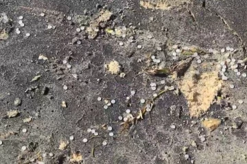 மன்னார் கடற்கரையோரங்களில் மீண்டும் கரையொதுங்கும் பிளாஸ்டிக் துகள்கள்