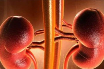 தெரியாம கூட இனிமேல் இந்த பொருட்களை சாப்பிடாதீங்க: சிறுநீரகத்தை பாதிக்குமாம்!