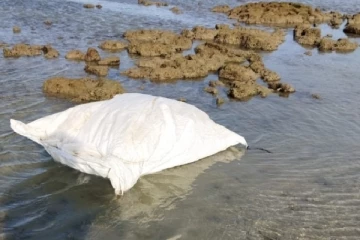 நெடுந்தீவு கடலில் மிதந்து வந்த மர்ம பொதி (Photo)