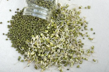 வாரம் ஒரு முறை பச்சை பயிறு சாப்பிடுவதால் கிடைக்கும் நன்மைகள் பற்றி தெரியுமா?