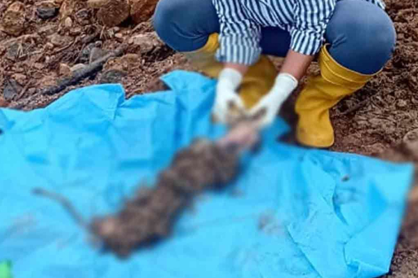 இலங்கை பேரிடரின் கோர முகம்; இறம்பொடை மண்சரிவில் மனித கால் மீட்பு ; இன்னும் 21 பேர் எங்கே? | Human Leg Recovered From Landslide Ramboda