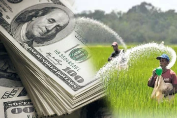 பெண் உயர் அதிகாரியொருவரின் அசமந்த போக்கு : பெரும் நிதி இழப்பு