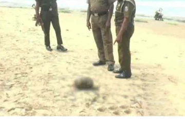 சிதைவடைந்த நிலையில் கடற்கரையிலிருந்து மனிதத் தலை மீட்பு