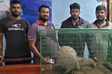 முல்லைத்தீவில் அரியவகை விலங்குடன் சிக்கிய நபர்!