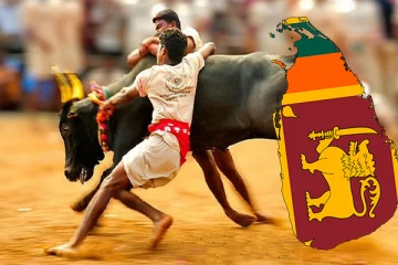 இலங்கையில் முதன் முறையாக ஜல்லிக்கட்டு!