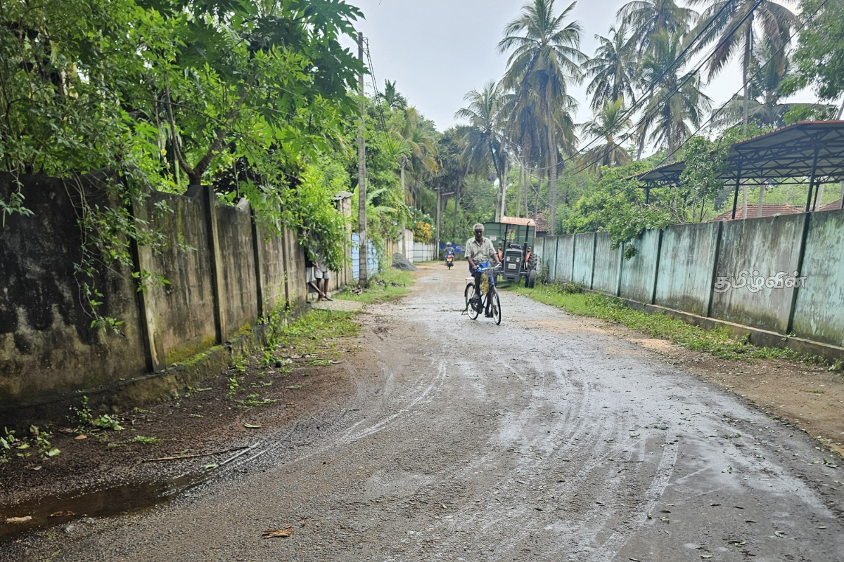 திடீரென முறிந்து விழுந்த மரத்தால் போக்குவரத்து தடை! | Traffic Blocked By A Suddenly Fallen Tree