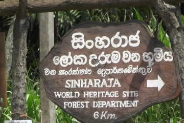 හෙට සිට සිංහරාජය නැරඹීමට අවසර නැහැ - සංචාරකයන්ට දැනුම්දීමක්