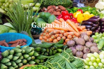 තරු පෙන්නපු එළවළු මිලට අද මොකද වුණේ දන්නව ද?.