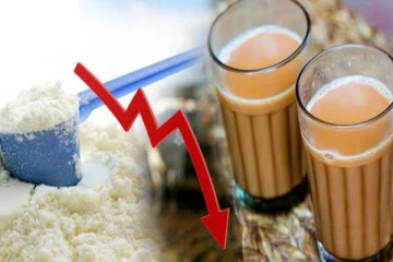 பால் மா மற்றும் பால் தேநீர் விலை தொடர்பில் முன்வைக்கப்பட்டுள்ள குற்றச்சாட்டு