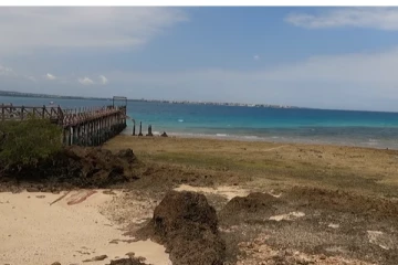 பட்ஜெட்டில் செலவு செய்து உலகம் சுற்றும் தமிழன் !