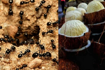 வாழ்க்கையில் அதிர்ஷ்டம் உண்டாக்க செய்யும் சில சுவாரசிய நிகழ்வுகள்