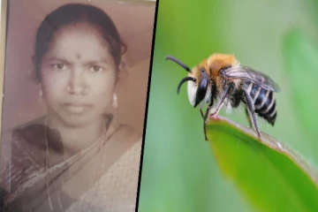 லிந்துலையில் குளவி தாக்குதலுக்கு இலக்காகி தோட்டத்தொழிலாளி மரணம்