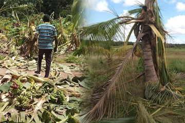 காட்டு யானைகளின் அட்டகாசத்தினால் வாழ்வாதாரத்தை இழக்கும் கொழுத்துபுலவு மக்கள்