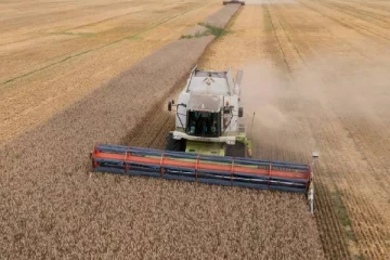 வாட்டியெடுத்த வெப்ப அலை... அறுவடையில் உக்ரைனுக்கு பலத்த அடி