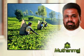 தோட்டத் தொழிலாளர்களின் நாளாந்த ஊதியம்! நிலைப்பாட்டை அறிவித்த அநுர