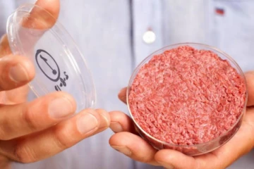 எதிர்கால உணவுக்காக சீனாவின்  திட்டம்! ஆய்வகத்தில் இறைச்சி உற்பத்தி