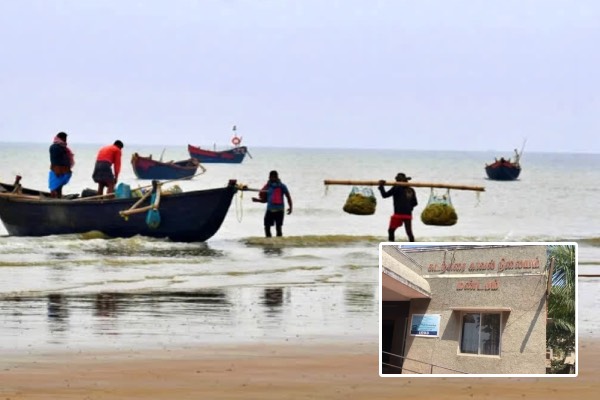 இலங்கையில் இருந்து தமிழ்நாட்டுக்கு தப்பி வந்த நபர்: கைது செய்த மரைன் பொலிஸார் | Sri Lanka Man Entered Illegally Into Tamilnadu