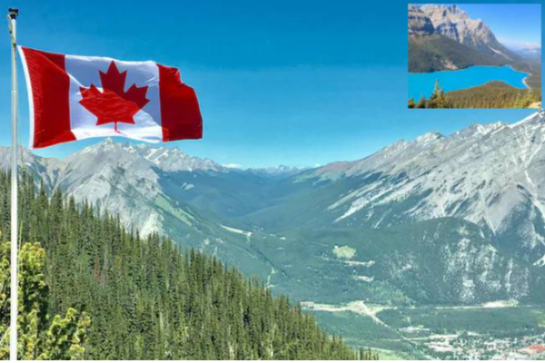 indian youth video viral about love canada