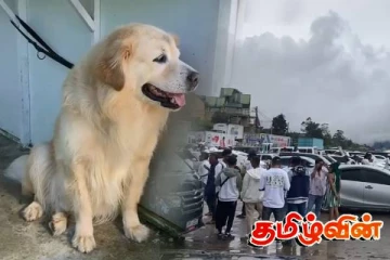 நுவரெலியாவில் மோப்ப நாய் பிரிவின் உதவியுடன் பலர் கைது!