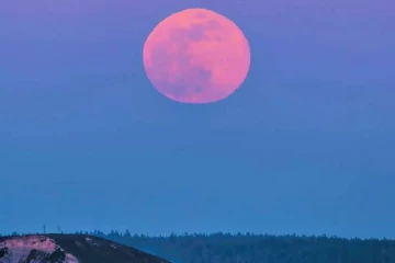 பிரமாண்டமாய் ஒளிர்ந்த பிங்க் மூன் நிலவு