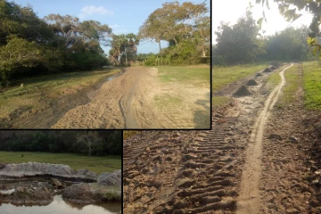 முல்லைத்தீவில் அதிகரிக்கும் சட்டவிரோத மணல் அகழ்வு: முன்வைக்கப்பட்ட குற்றச்சாட்டு