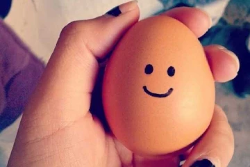 முட்டையின் விலையை குறைக்க இணக்கம்