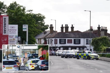 லண்டனில் இரட்டை கத்திக்குத்து: கொலை முயற்சி வழக்கில் ஒருவர் அதிரடி கைது