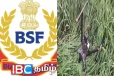 பாகிஸ்தானின் 6 ட்ரோன்களை சுட்டுவீழ்த்தியது இந்திய இராணுவம் : எல்லைப்பகுதியில் பரபரப்பு