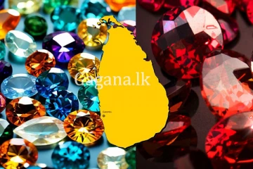 දෙවියෝ බැලුවා වගේ නේද? - මැණික් ගැරීමට අවශ්‍ය බලපත්‍ර ලබාදීමේ නීති ලිහිල් වෙයි.