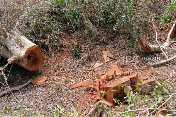 கிளிநொச்சி மக்களிடம் காவல்துறையினர் விடுத்துள்ள கோரிக்கை | Kilinochchi Police Seek Help To Stop Illegals கிளிநொச்சி மக்களிடம் காவல்துறையினர் விடுத்துள்ள கோரிக்கை | Kilinochchi Police Seek Help To Stop Illegals