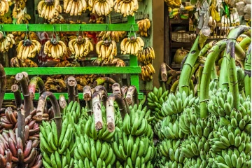 பண்டிகை காலத்தை முன்னிட்டு வாழைப்பழ விலையில் திடீர் மாற்றம்