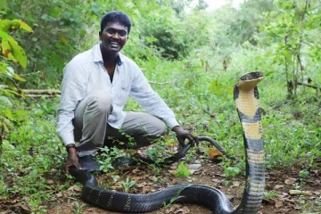 வாவா சுரேஷ் உடல்நிலையில் முன்னேற்றம் - வெளியான புதிய தகவல்