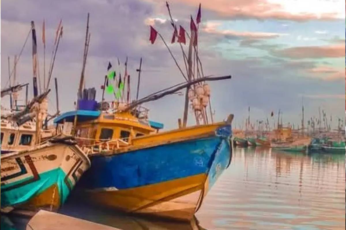 கடலில் ஆபத்தில் சிக்கும் கடற்றொழிலாளர்களை காக்க நவீன தொழில்நுட்பம்! விடுக்கப்பட்டுள்ள கோரிக்கை | Modern Safety Tech Urged For Northern Fishermen கடலில் ஆபத்தில் சிக்கும் கடற்றொழிலாளர்களை காக்க நவீன தொழில்நுட்பம்! விடுக்கப்பட்டுள்ள கோரிக்கை | Modern Safety Tech Urged For Northern Fishermen