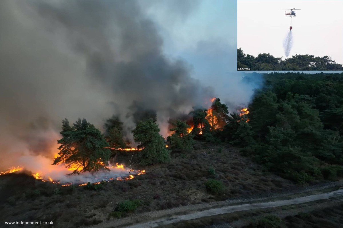 wildfire in suffolk wildfire in suffolk
