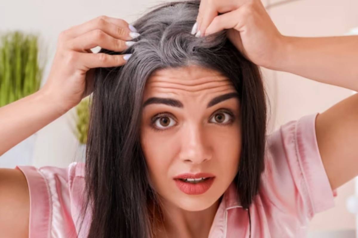 இனி நரைமுடிக்கு இரசாயன சாயம் எதற்கு? இந்த பொடியை பாலுடன் கலந்து பூசுங்க | Hair Dye Milk Charcoal Turn White Hair Into Black இனி நரைமுடிக்கு இரசாயன சாயம் எதற்கு? இந்த பொடியை பாலுடன் கலந்து பூசுங்க | Hair Dye Milk Charcoal Turn White Hair Into Black