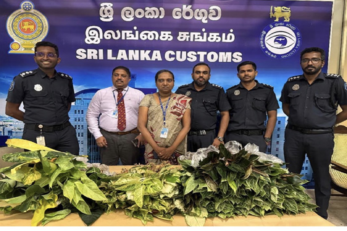 இந்தியாவிலிருந்து வந்த தொழிலதிபர் கட்டுநாயக்காவில் கைது | Businessman Arrested At Bia