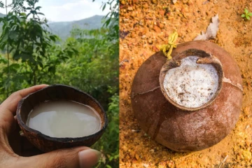 රජයෙන් " රා " සැණකෙළියක්.ලාංකිකයන්ට විශේෂ අවස්ථාවක්.