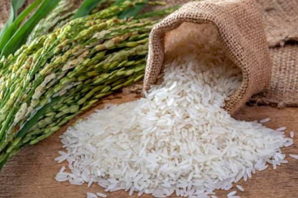 அதிகாரிகளுக்கு அமைச்சர் பிரசன்ன ரணதுங்க விடுத்துள்ள பணிப்புரை! | Minister Prasanna Ranatunga Order To The Officers