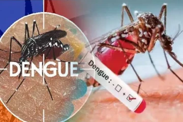 கொழும்பில் அதிகரிக்கும் நோய் தாக்கம்: மக்களுக்கு விடுக்கப்பட்டுள்ள எச்சரிக்கை