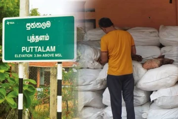 புத்தளத்தில் பெருந்தொகையான பீடி இலைகள் மீட்பு