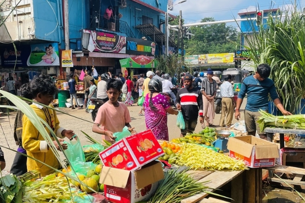 யாழில் களை கட்டும் பொங்கல் வியாபாரம் ; குவிந்த மக்கள் | Thai Pongal Business Is Booming In Jaffna
