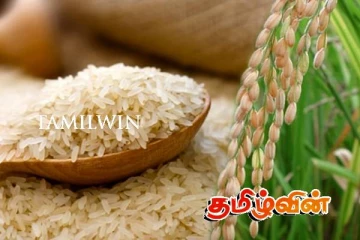 அரிசிக்கான தட்டுப்பாட்டிற்கு காரணம் முன்னைய அரசாங்கமே..! சாடும் அநுர தரப்பு