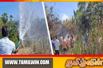 மட்டக்களப்பு - ஏத்தாளைக்குளம் காட்டுப்பகுதியில் தீ பரவல்