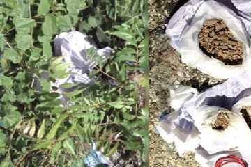 யாழில் மீட்கப்பட்ட சக்தி வாய்ந்த வெடிபொருள்!