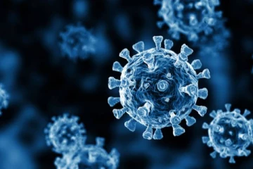 தமிழகத்தில் 2,404 பேருக்கு கொரோனா பாதிப்பு உறுதி...!