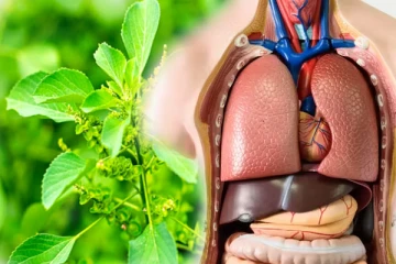 குப்பை மேடுகளில் வளரும் சூப்பரான மூலிகை! எப்படி பயன்படுத்த வேண்டும்?